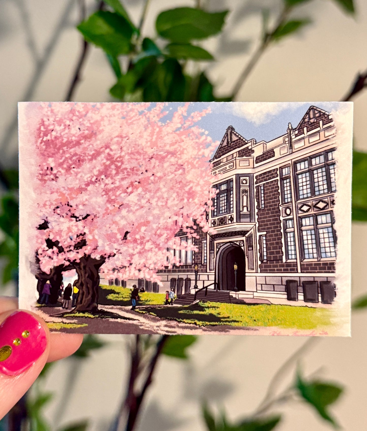 Mini Print - UW Cherry Blossoms
